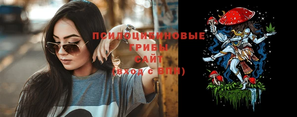 хмурый Магас