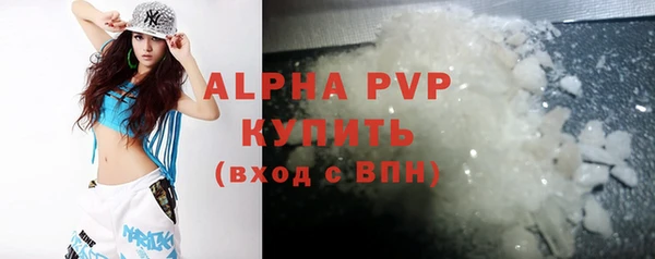 хмурый Магас