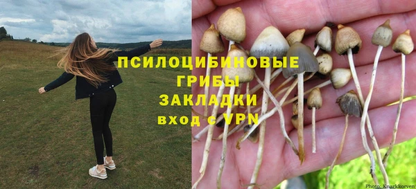 мдпв Мегион