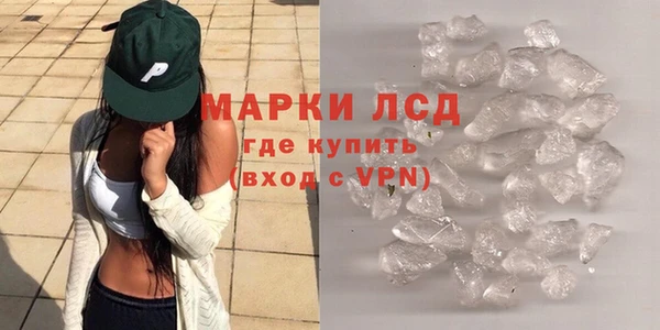 хмурый Магас